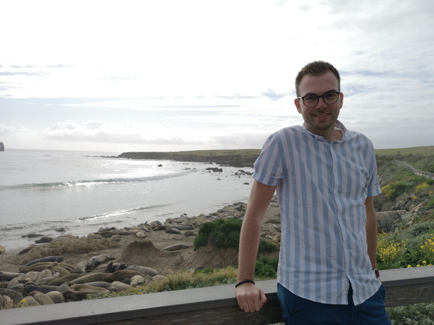 Zeeolifanten San Simeon - California - Amerika - Doets Reizen