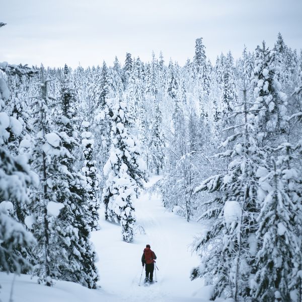 Fins Lapland Winter - Doets Reizen - Vakantie Finsland - Credits VisitLapland