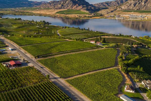 Share CedarCreek Estate Winery - Kelowna - Okanagan Valley - British Columbia - Canada - Doets Reizen
