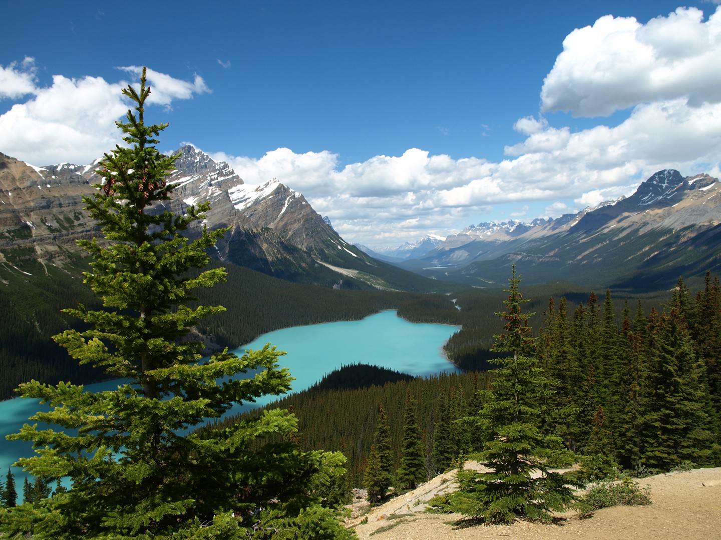 Peyto Lake - Icefields Parkway - Alberta - Canada - Doets Reizen