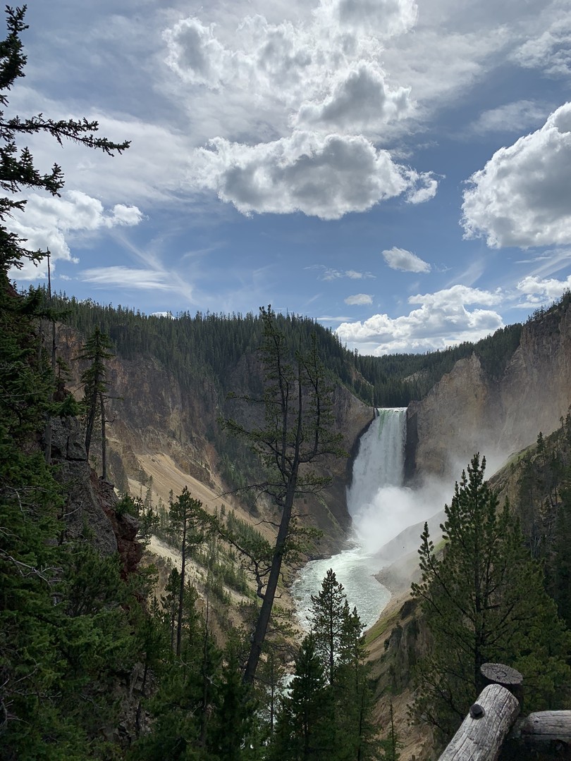 Yellowstone National Park - Wyoming - Doets Reizen