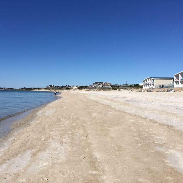 Sea Crest Oceanfront Resort - Beach