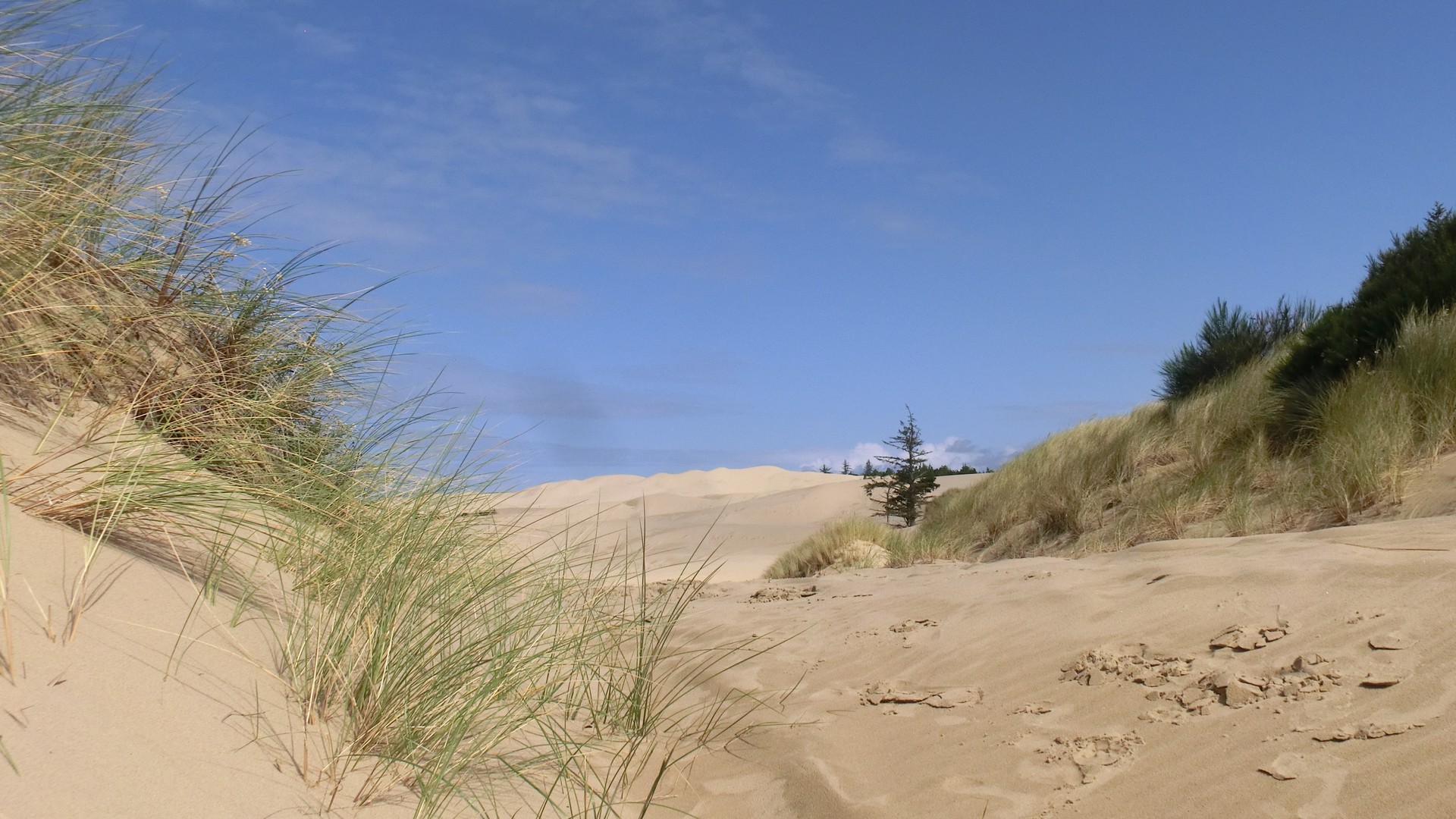 Sand Dunes - Florence - Oregon - Doets Reizen