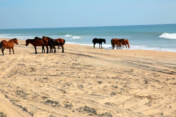 Sfeer - Texas - Amerika - Doets Reizen