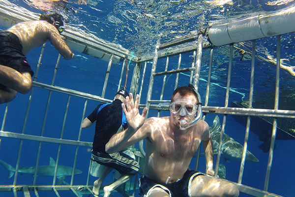 Shark Cage Tour - Oahu - Hawaii - Doets Reizen