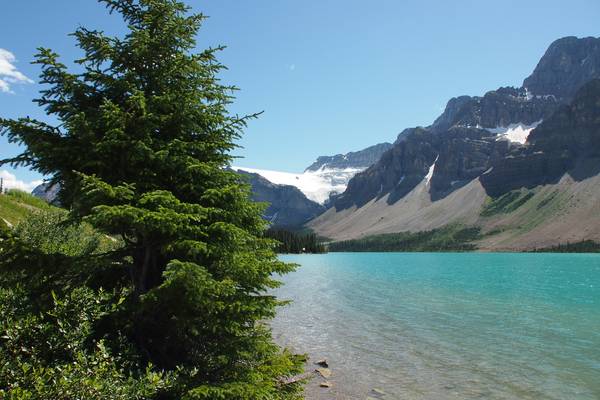 Bow Lake - Icefields Parkway - Alberta - Canada - Doets Reizen