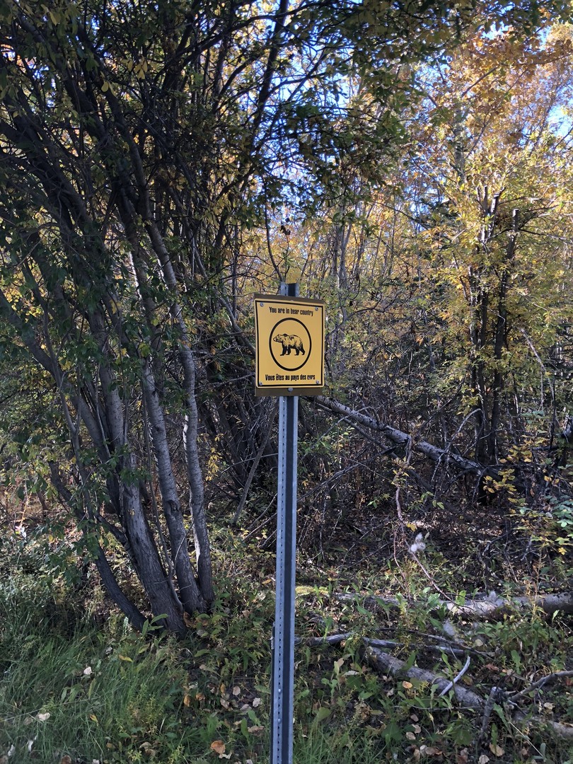 Kathleen Lake Campground - Haines Junction - Yukon - Canada - Doets Reizen
