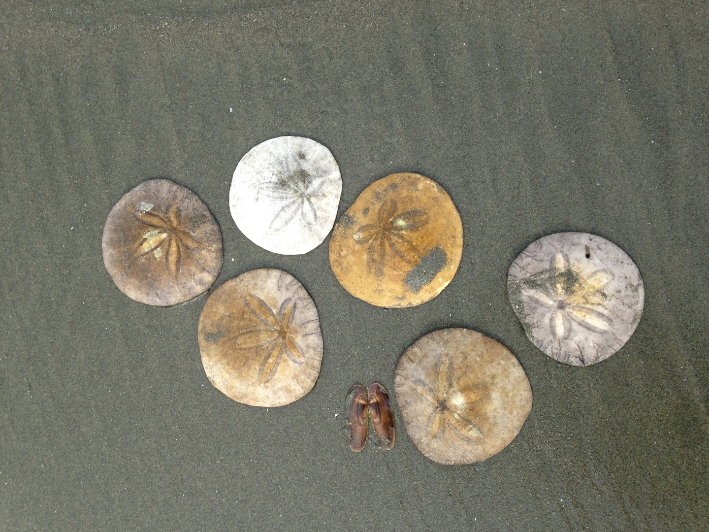 Wickaninnish Inn - Pacific Rim National Park - Vancouver Island - British Columbia - Canada - Doets Reizen