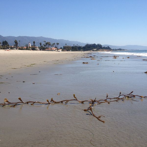 Santa Barbara - California - Amerika - Doets Reizen