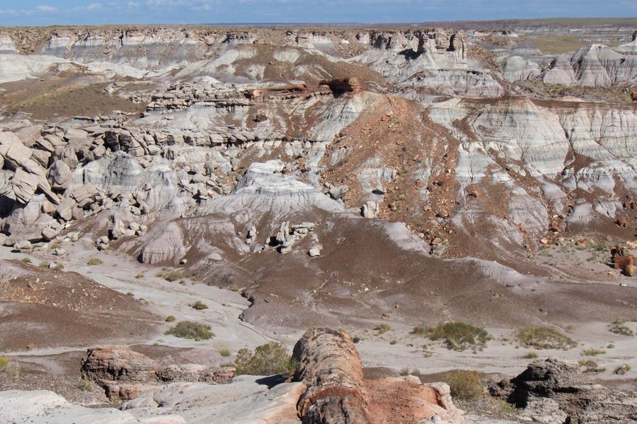 Petrified Forest National Park - Arizona - Amerika - Doets Reizen