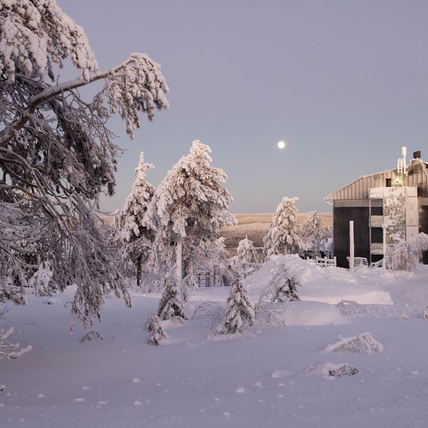 Pikku Syöte - Winter