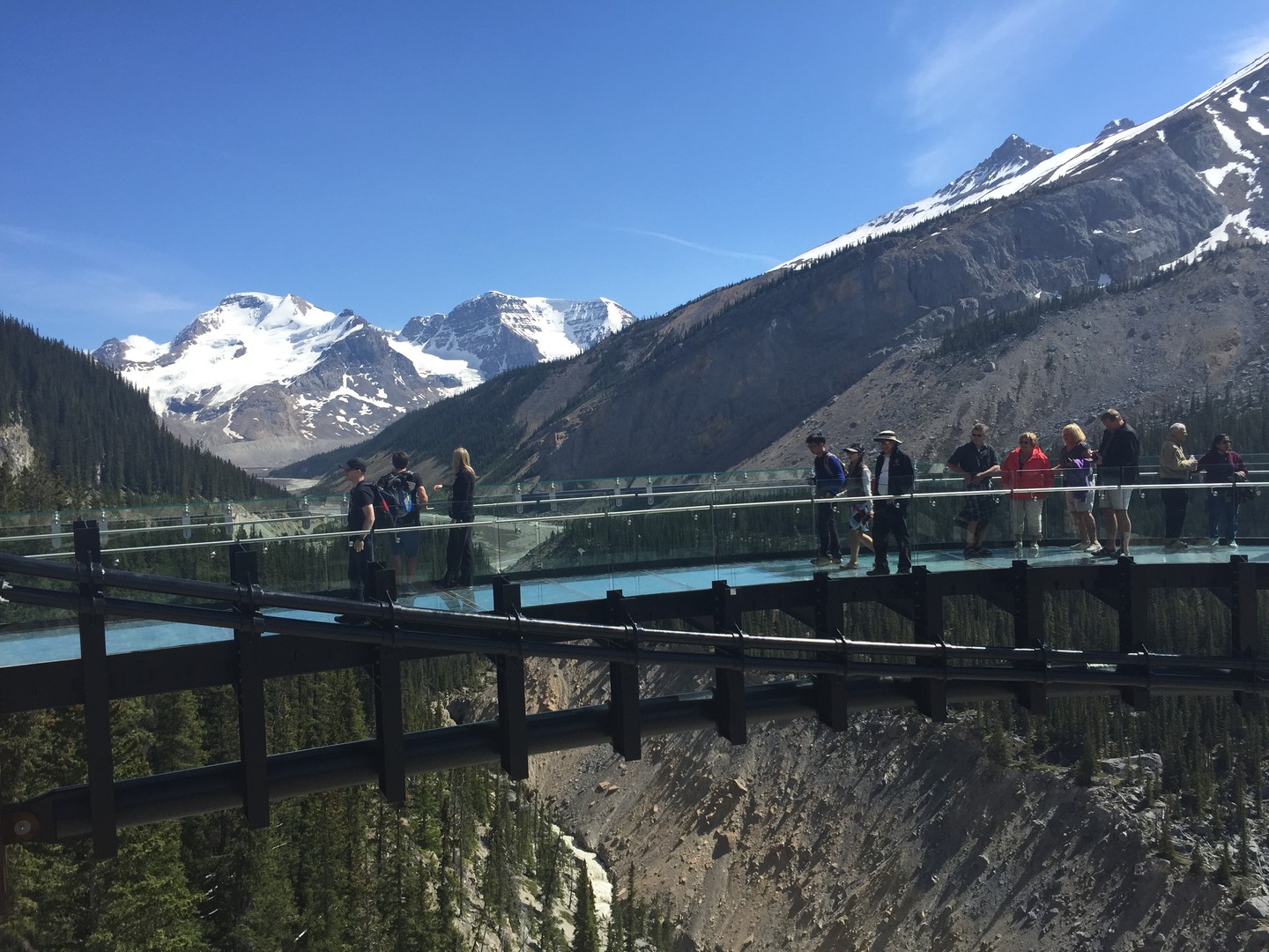 Glacier Skywalk - Icefields Parkway - Alberta - Canada - Doets Reizen