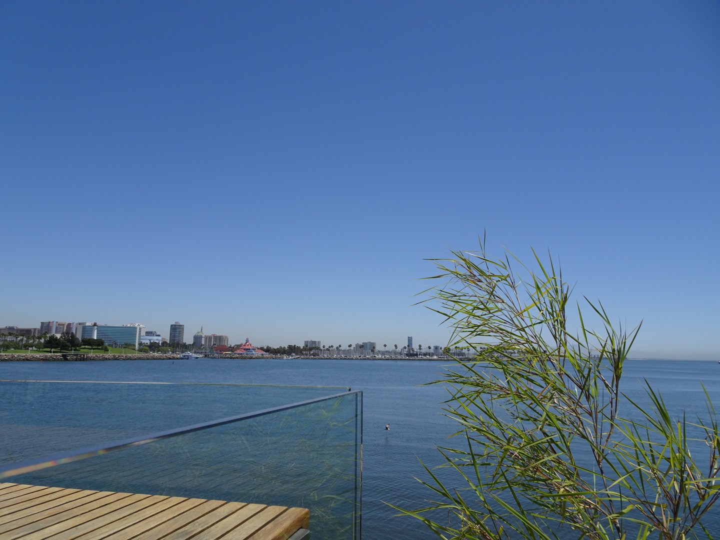 Long Beach - Los Angeles - California - Amerika - Doets Reizen