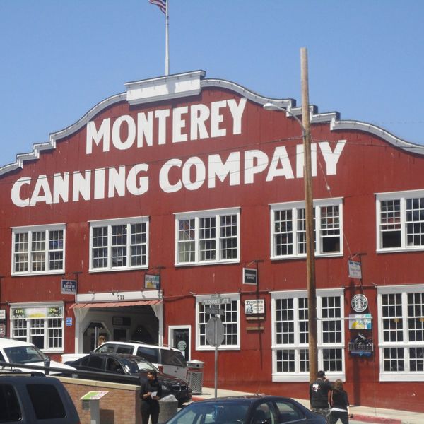 Monterey Bay Aquarium - California - Amerika - Doets Reizen