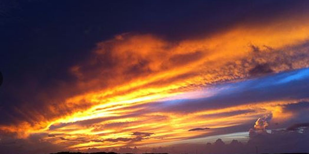 Sunset Cruise - Theater of the Sea - Islamorada - The Keys - Florida - Doets Reizen
