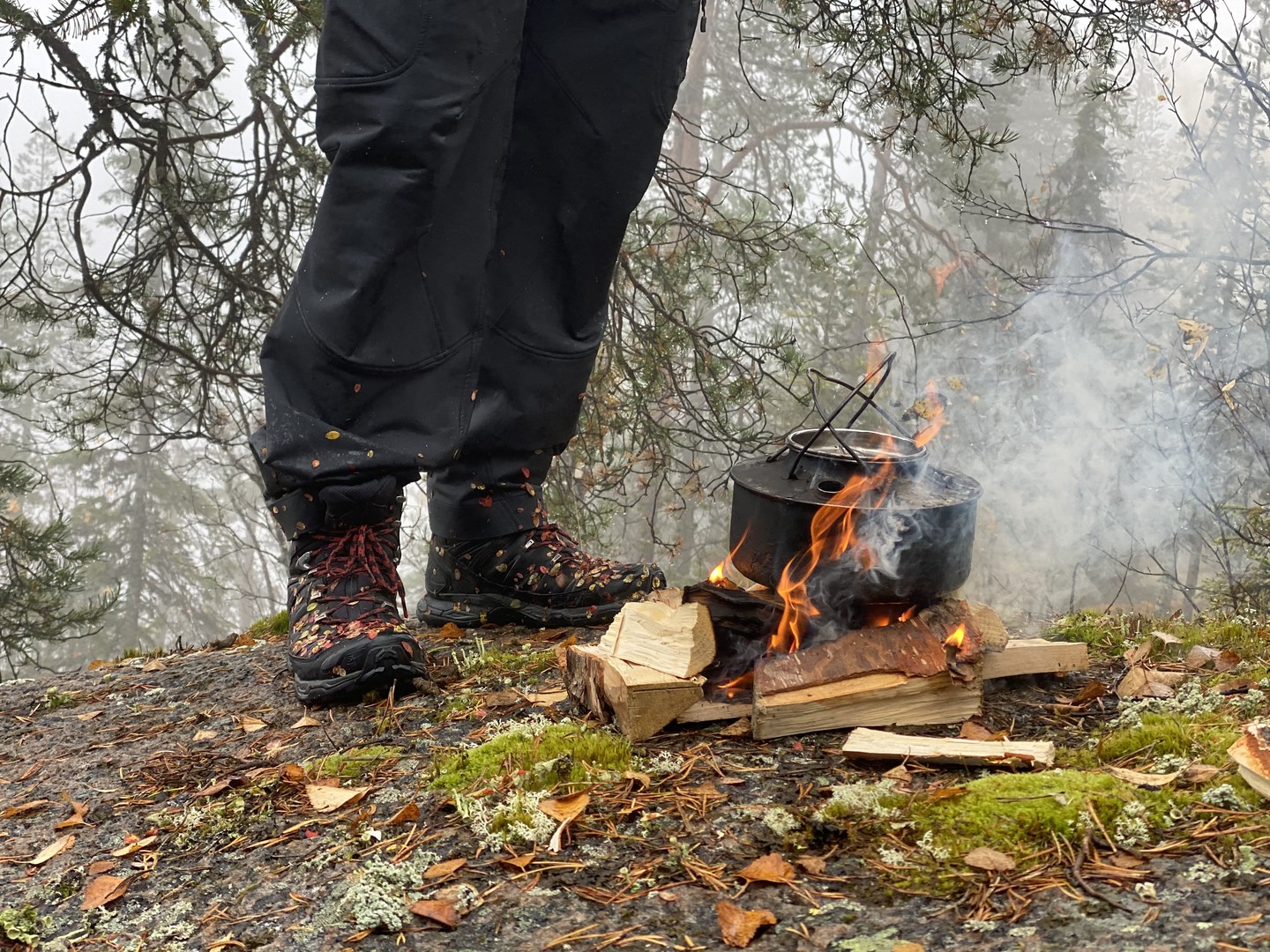 Elske Doets in Zweden - Treehotel Zweden - Treehotel Sweden - Treehotel - Vakantie Zweden - Doets Reizen