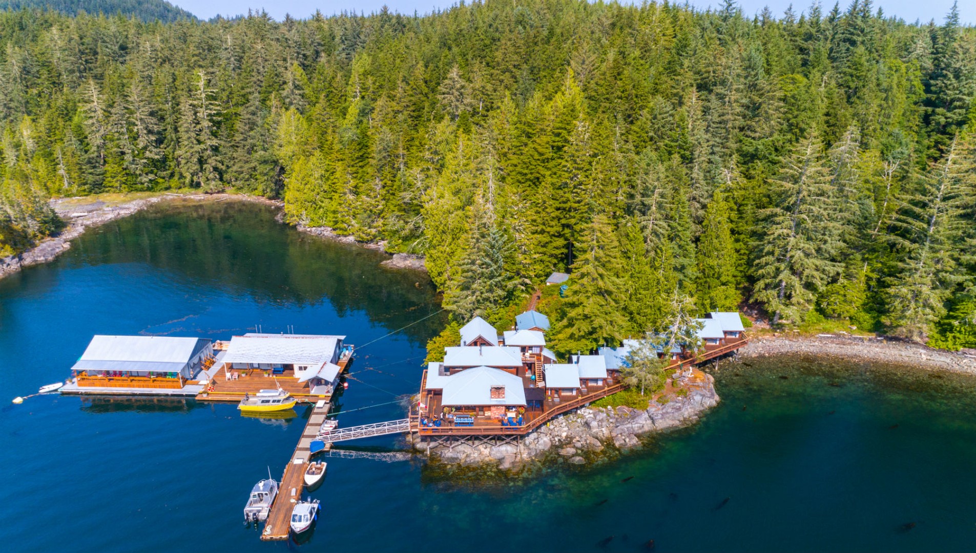 Farewell Harbour Lodge - British Columbia - Canada - Doets Reizen