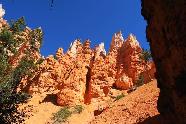 Bryce Canyon National Park - Utah - Doets Reizen
