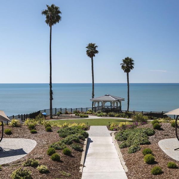 Shore Cliff Hotel - garden