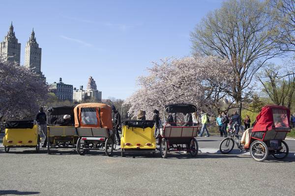 Central Park - New York - Doets Reizen