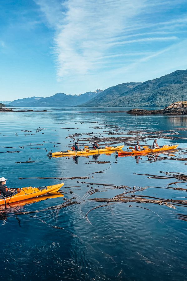 Kajak Tours in Telegraph Cove - Doets Reizen - Photo credits North Island Kayak Tours
