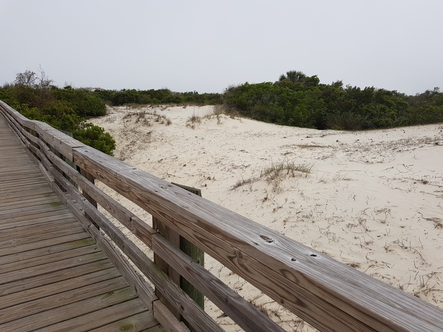 Cumberland Island National Seashore - Georgia - Amerika - Doets Reizen