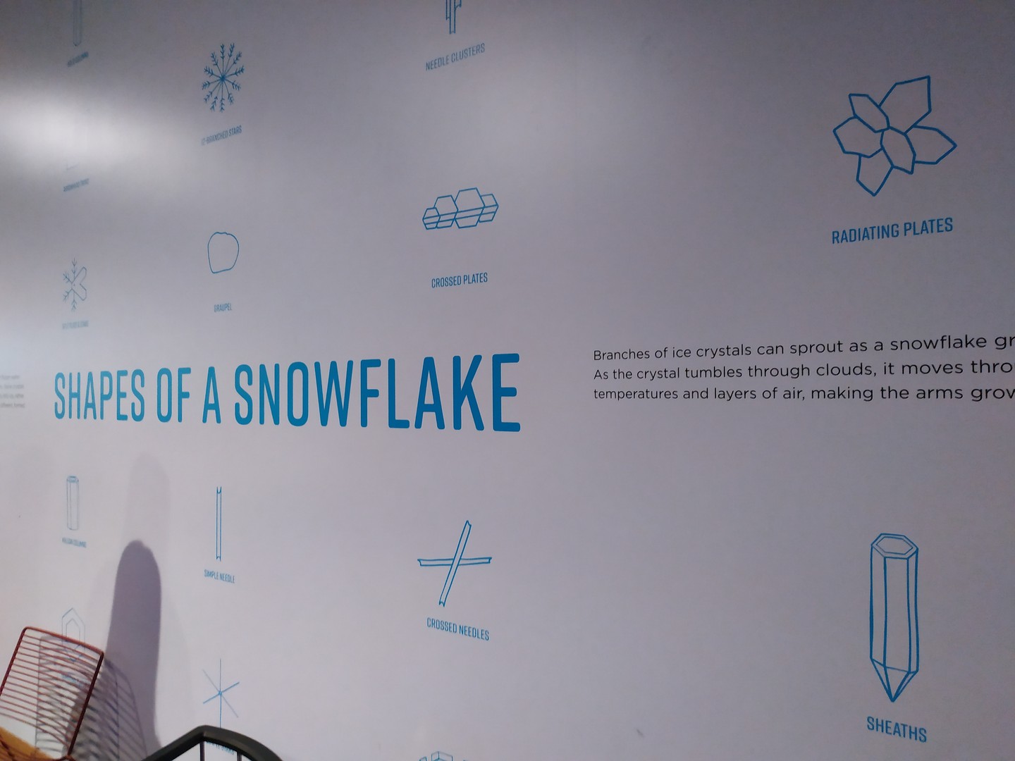 Anchorage Museum - Anchorage - Alaska - Doets Reizen