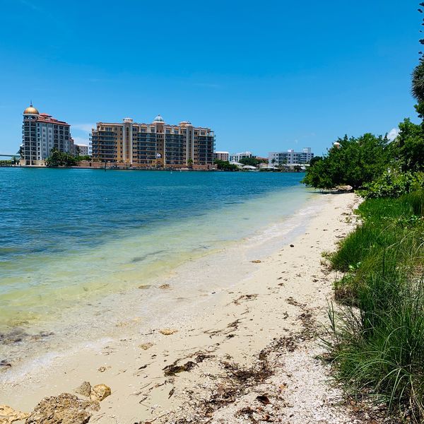 Bayfront Park - Sarasota - Florida - Doets Reizen