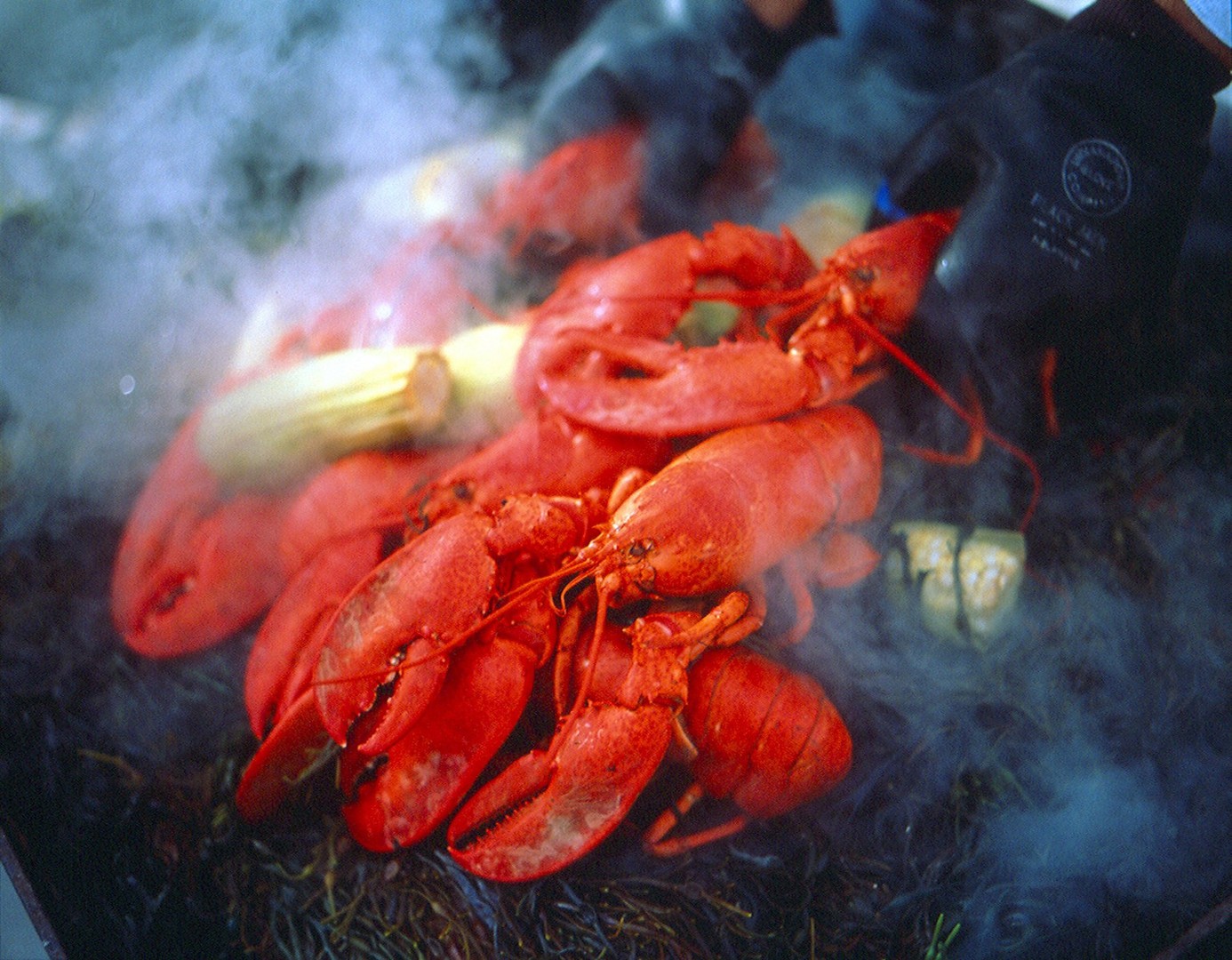 Newport - Rhode Island - Amerika - Doets Reizen