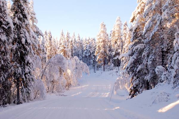 Zweeds Lapland- Doets Reizen - Vakantie Zweden - Credits SwedishLapland.com