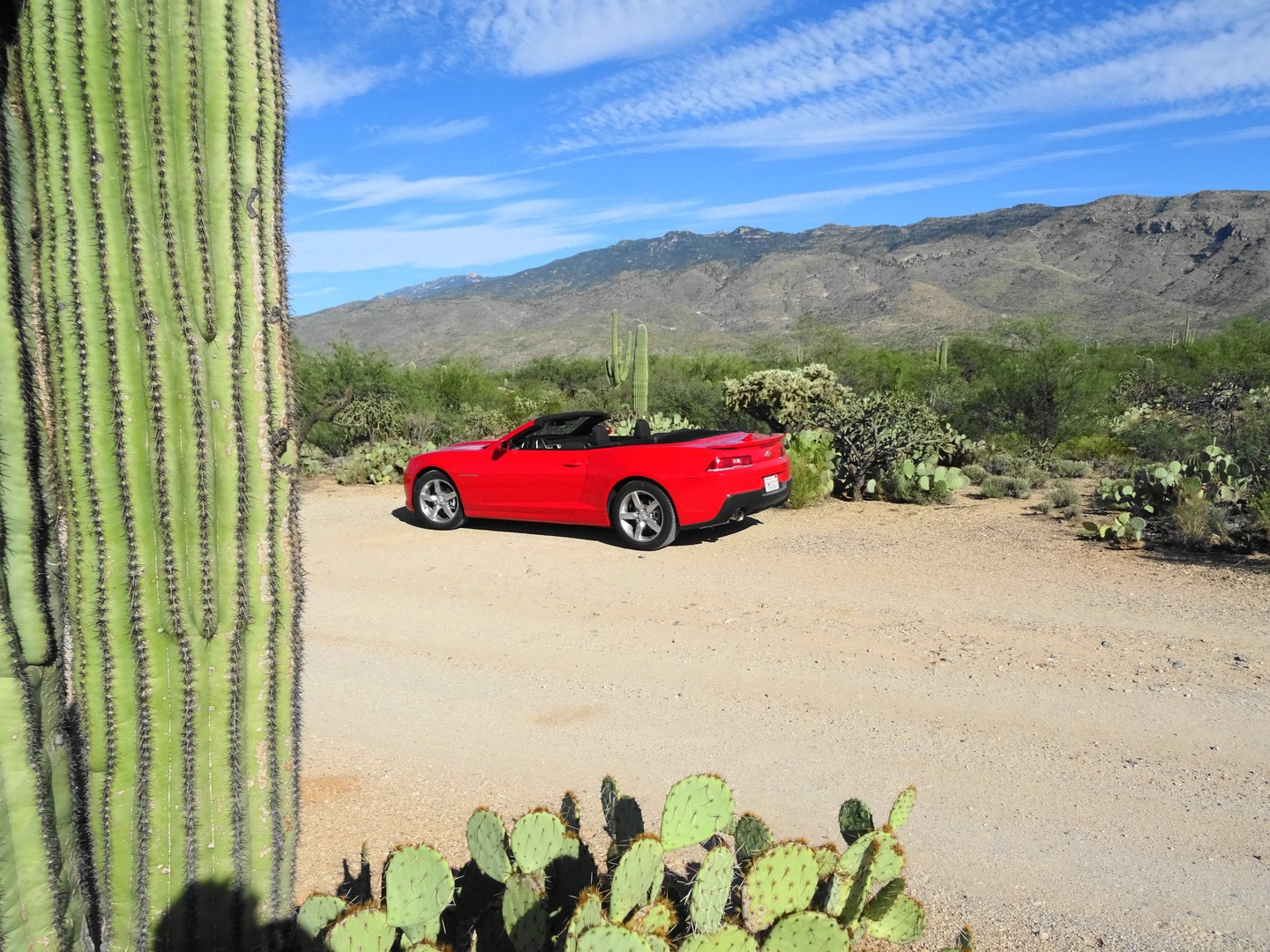 Tucson - Arizona - Doets Reizen