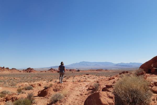 Valley of Fire State Park - Nevada - Vakantie West Amerika - Doets Reizen (9)
