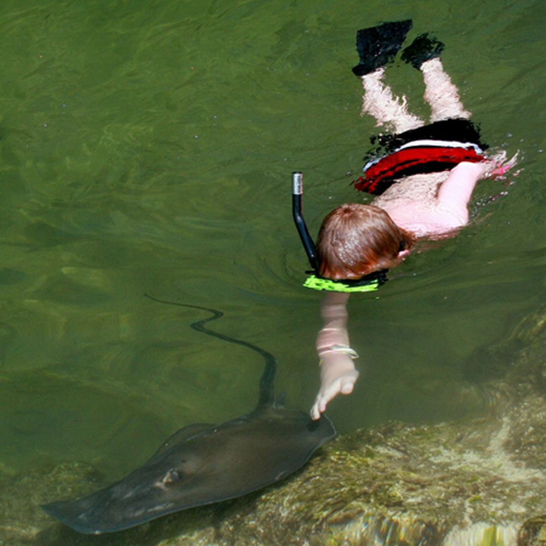 Theater of the Sea - Islamorada - The Keys - Florida - Doets Reizen