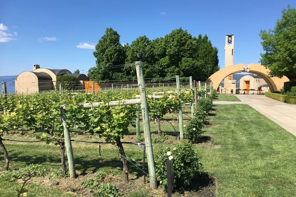 Okanagan Lake - Kelowna - Okanagan Valley - British Columbia - Canada - Doets Reizen