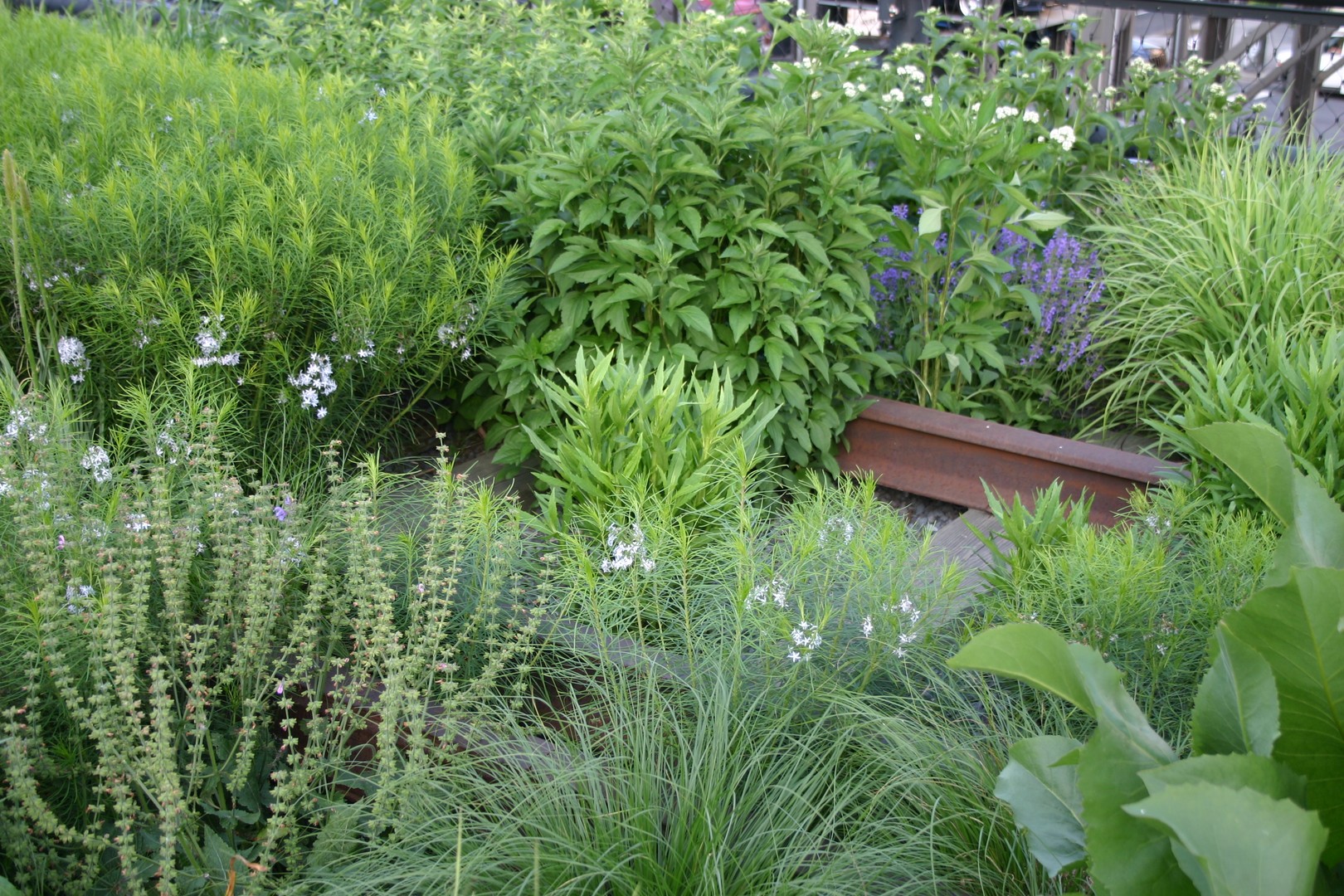 Highline Park - New York - Doets Reizen