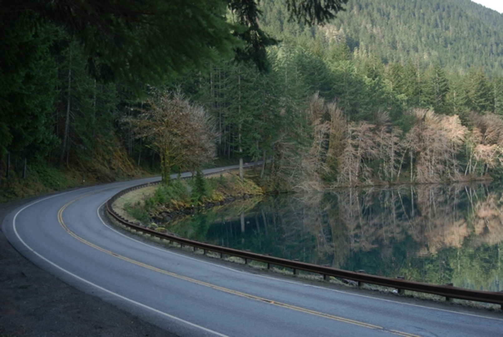 Forks - Washington State - Doets Reizen