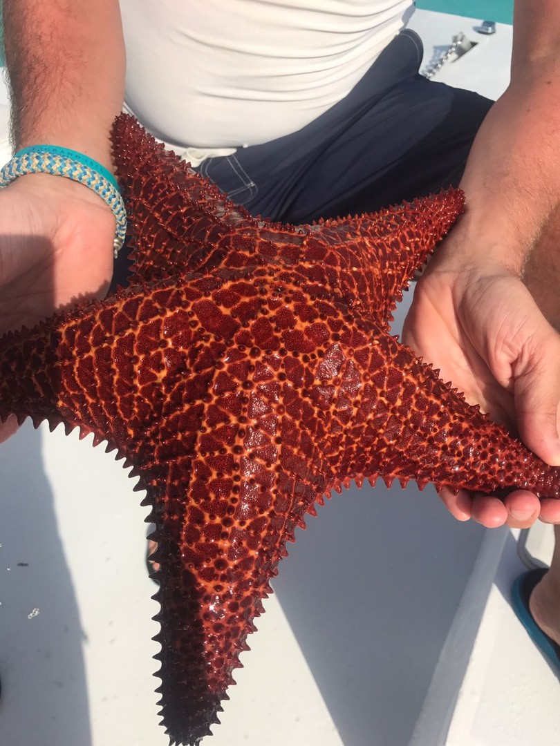 Great Exuma - Cruise Bahamas - Cruisevakantie - Doets Reizen