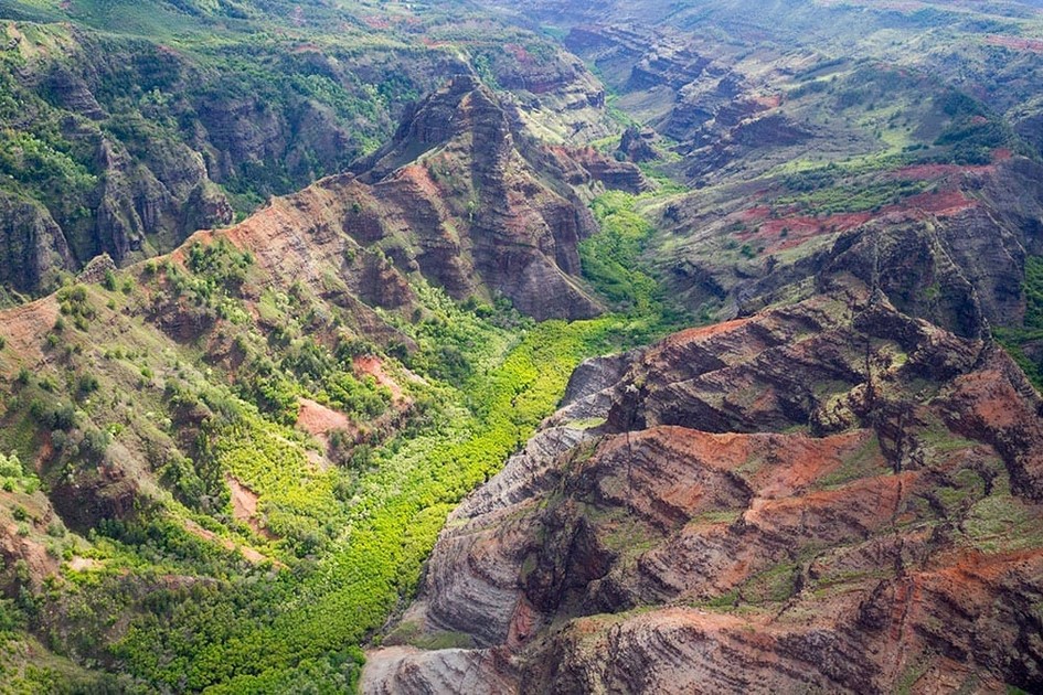 Polynesian Adventure Activities: Waimea Canyon/Wailua River/Fern Grotto
