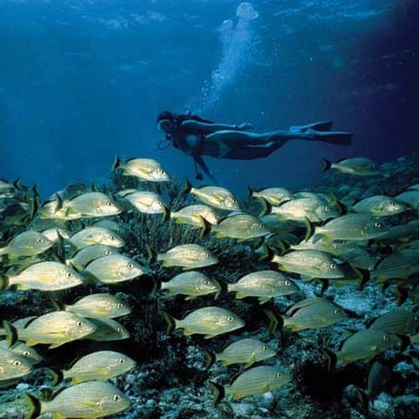 Little Palm Island Resort - The Keys - Florida - Amerika