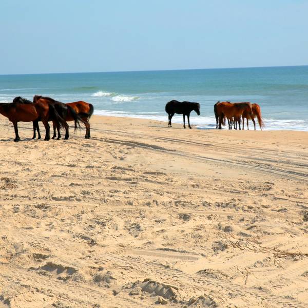 Sfeer - Texas - Amerika - Doets Reizen