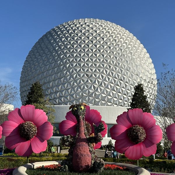 10. Disney EPCOT - Themapark - Florida - Orlando - Amerika - Doets Reizen (4)