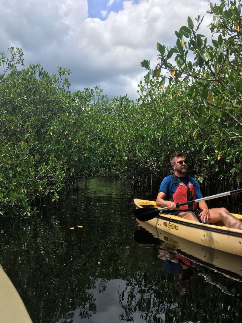 Mangrove Tunnel Tour - Everglades National Park - Florida - Doets Reizen