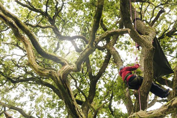 Boomklimmen in Skåne - Doets Reizen - Vakantie Zweden - Credits Apelöga & Visit Sweden