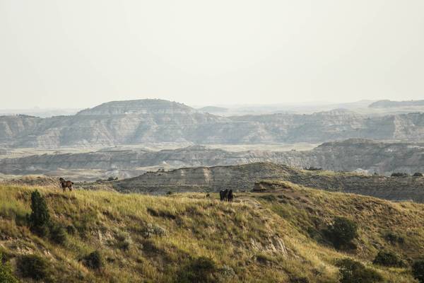 Theodore Roosevelt National Park - North Dakota - Amerika - Doets Reizen