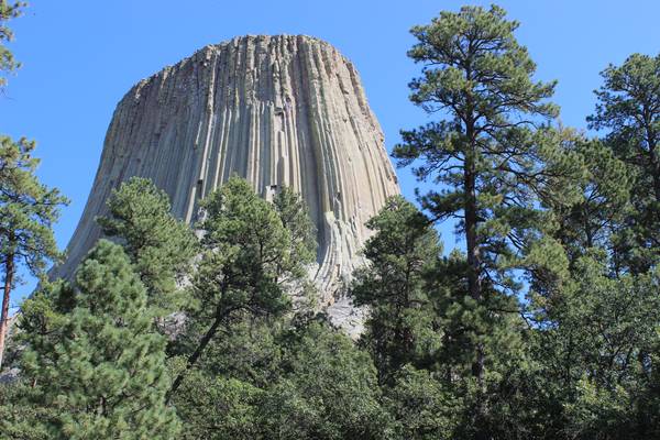 Devils Tower National Monument - Wyoming - Doets Reizen
