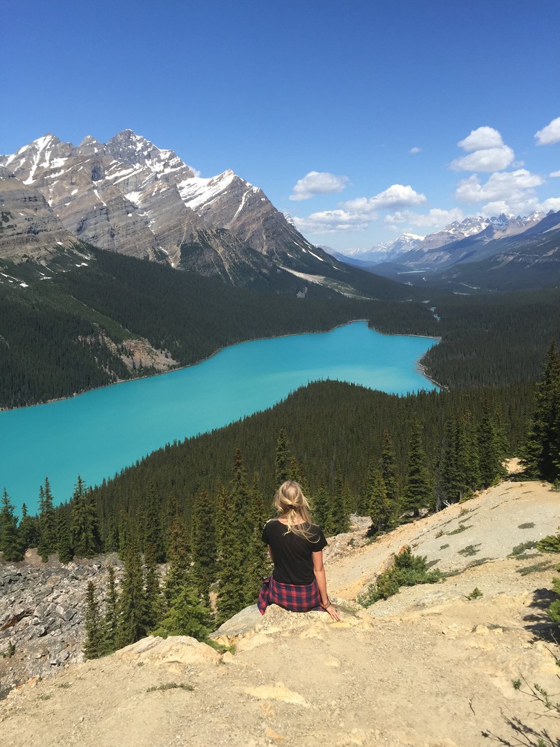 Peyto Lake - Icefields Parkway - Alberta - Canada - Doets Reizen