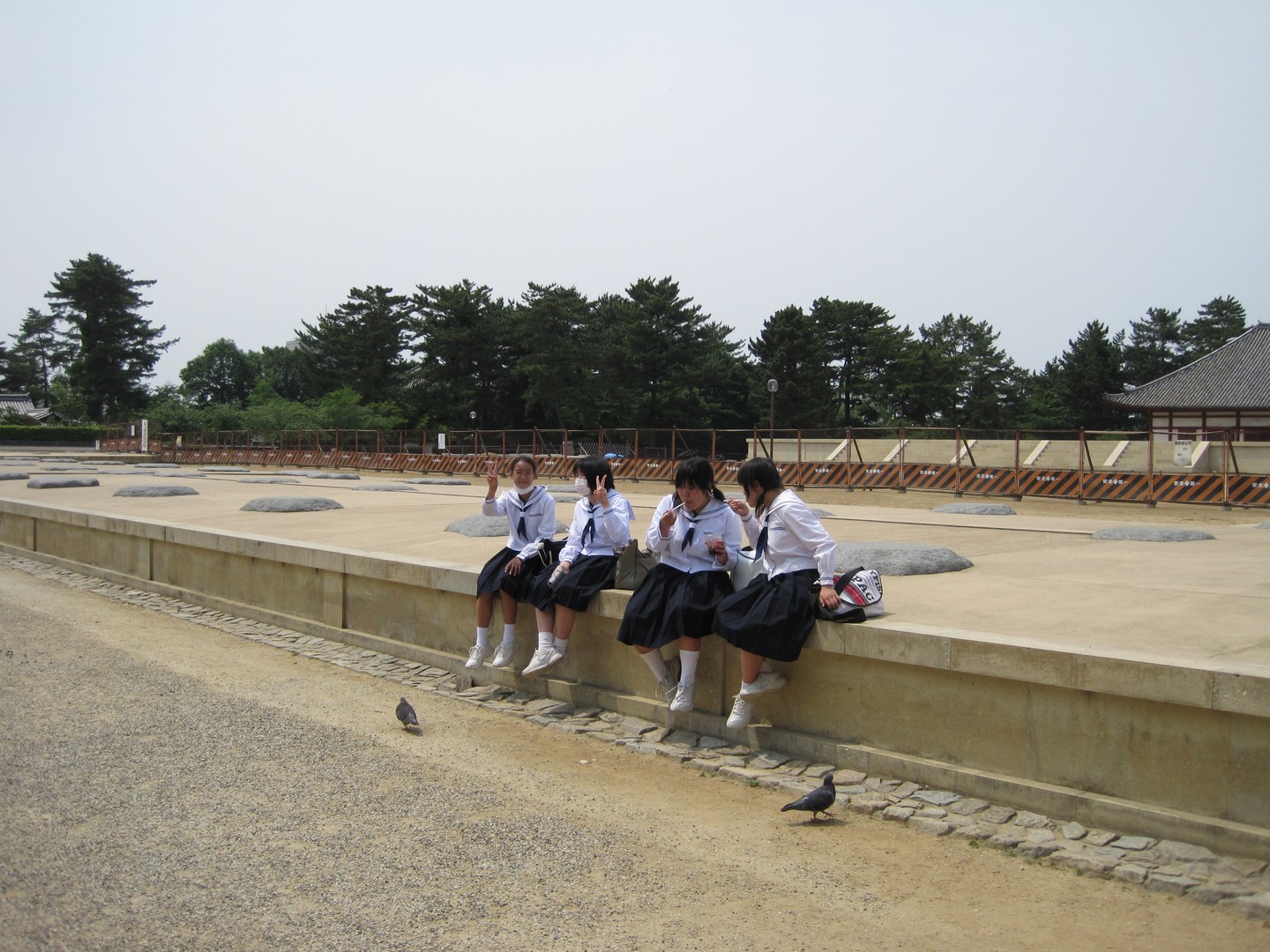 Nara - Japan - Doets Reizen