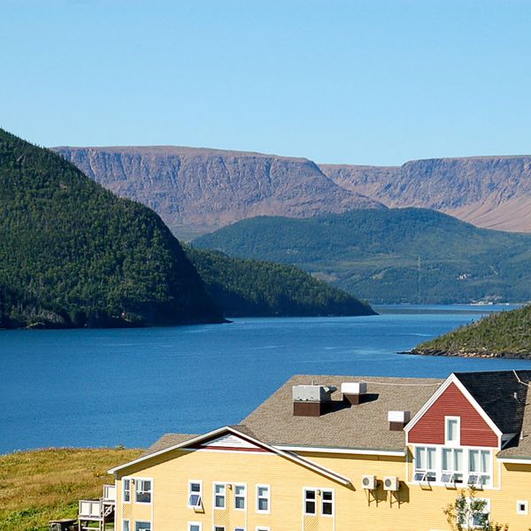 Neddies Harbour Inn 1