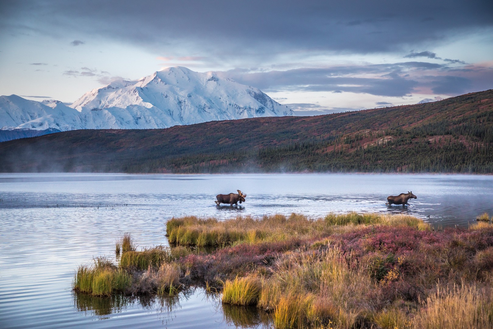 Denali Backcountry Adventure - Denali National Park - Alaska - Doets Reizen