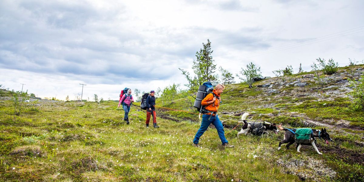 Alta - Doets Reizen - Vakantie Noorwegen - Credits VisitNorway.com